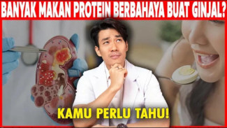 Mengapa Protein yang Anda Konsumsi Mungkin Tidak Terserap Sempurna?