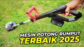 Halaman Rapi Seketika! 5 Mesin Potong Rumput Portable Tanpa Masalah