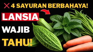 Rahasia Terbongkar Ternyata 4 Sayuran Hijau Ini Bisa Bikin Lansia Lemas Mendadak dan Jantung Berdebar Kencang