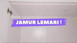 Lenyap Seketika! Lemari Berjamur Jadi Kinclong Lagi Cuma Pakai Bahan Murah