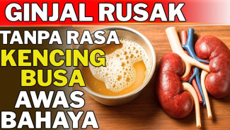Ginjal Bocor Ditandai Urine Berbusa Langsung Sembuh Total Pakai Ramuan Ajaib Dua Bahan Dapur Murah Ini