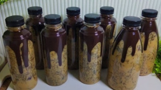 Ide Jualan Takjil Minuman Ramadan! Es Lumut Cincau Cokelat Gula Aren, Segar, Murah, dan Tahan Beberapa Hari