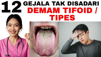 Demam Malam Terus Naik, Perut Kembung, Lemas Berat Ini Pola Tifoid Yang Sering Diabaikan