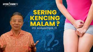 Sering Terbangun Tengah Malam Ini Deretan Sayuran yang Diam-Diam Menenangkan Kandung Kemih
