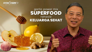 Garlic Power Mix Mendadak Diburu, Racikan Dapur Ini Disebut Superfood Serba Bisa