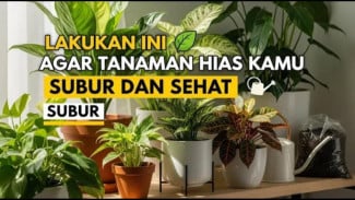 Rahasia Tanaman Indoor Anti Lonyot: Cara Ampuh Bikin Tanaman Sehat Tanpa Ribet!