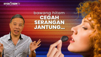 Black Garlic Superfood: Rahasia Bawang Hitam Tunggal yang Bikin Jantung Sehat dan Otak Tajam Tanpa Ribet