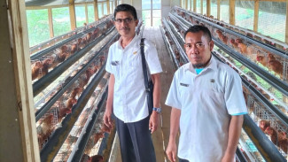 Permintaan Daging Ayam untuk MBG Melonjak Tajam, Warga: Harga Jadi Mahal di Pasaran!