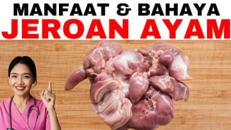 Rahasianya Jeroan Ayam Bisa Bikin Tubuh Kuat, Imun Naik, Tapi Kolesterol Siap Mengintai