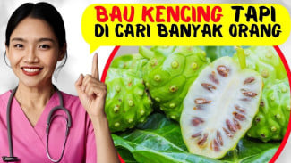 Mengkudu Si Bau Tajam Ternyata Ampuh Lindungi DNA dan Turunkan Kolesterol