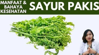 Rahasia Sayur Pakis: Tingkatkan Imunitas 40 Persen hingga Lawan Radang Kronis