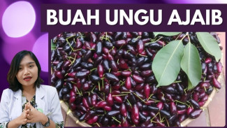 Buah Juwet yang Makin Langka Ini Ternyata Bisa Bantu Turunkan Gula Darah dan Lindungi Jantung