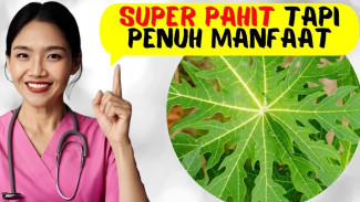 8 Manfaat Ajaib Daun Pepaya yang Bisa Naikkan Trombosit & Lawan Kanker Sekaligus