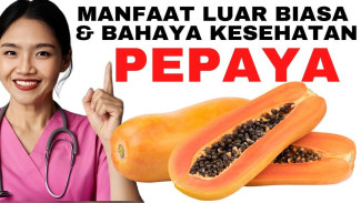 Pepaya Ajaib yang Bisa Lancarkan Pencernaan, Bikin Kulit Glowing dan Jaga Jantung Tanpa Perlu Obat Mahal