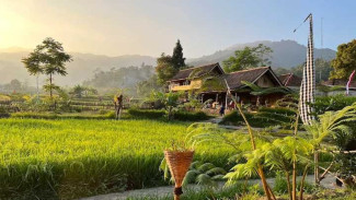 Desa Wisata Kampung Tajur Purwakarta 2026, Liburan Asri dan Edukatif di Lereng Gunung