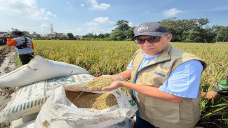 Stok Beras di Subang Dipastikan Mencukupi hingga 2026, Varian 2 Kg Siap Meluncur!