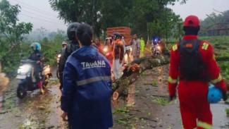 Waspada Pohon Tumbang, Polsek Jalancagak Tingkatkan Antisipasi di Jalur Rawan