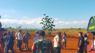 Sinergi TNI-Polri Dukung Ketahanan Pangan, Lahan Jagung 1.000 Hektare Ditinjau di Purwakarta