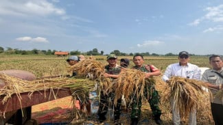 Bulog Subang Targetkan Penyaluran Banpang Tuntas Akhir Mei 2026, Stok Beras Aman