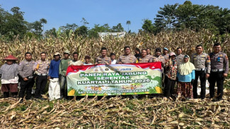 Polres Purwakarta Panen 8 Ton Jagung Hibrida, Dukung Swasembada Pangan 2026