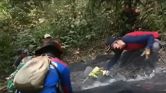 Kebakaran Gunung Kujang Cijambe, Api Membakar 1,5 Hektare Lahan