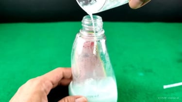 Tips Membuat Ramuan Pengusir Semut dari Rumah.
