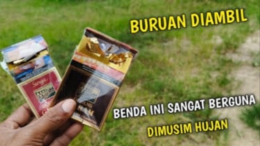 Nemu Bungkus Rokok? Segera Ambil! Punya Manfaatnya Luar Biasa yang ...