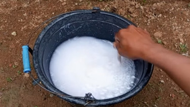 Cara Membuat Herbisida Sendiri di Rumah.