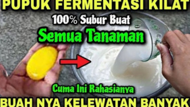 Pupuk nutrisi ajaib