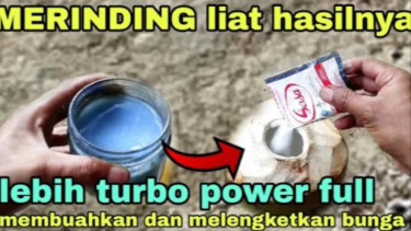 Pupuk tanaman cepat berbuah