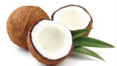 Kelapa