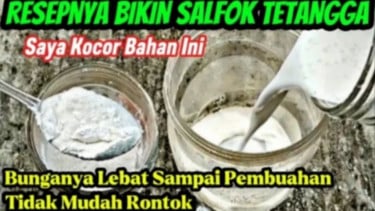 Pupuk perangsang buah