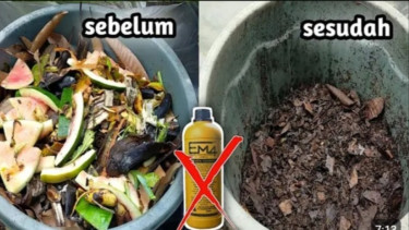 Kompos dari Sampah Dapur Tanpa EM4