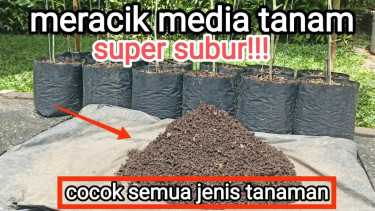 Meracik media tanam subur