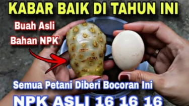Bahan pupuk NPK