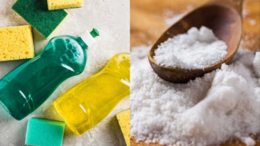 Sabun Cuci Piring Cair dan Garam