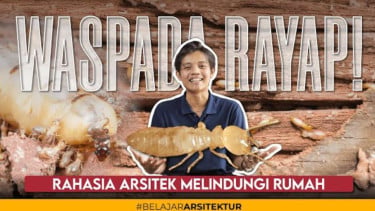 Waspada rayap