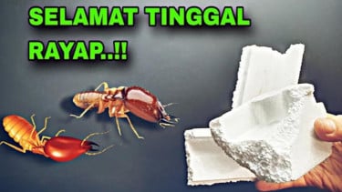 img_title