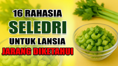 7 Rahasia Daun Pohpohan yang Bikin Kaget, Ternyata Bisa Lawan Diabetes ...