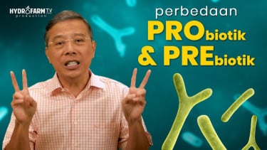 Perbedaan prebiotik dan probiotik