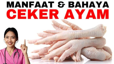 Manfaat dan bahaya ceker ayam