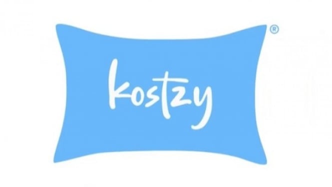 Logo perusahaan The Kostzy