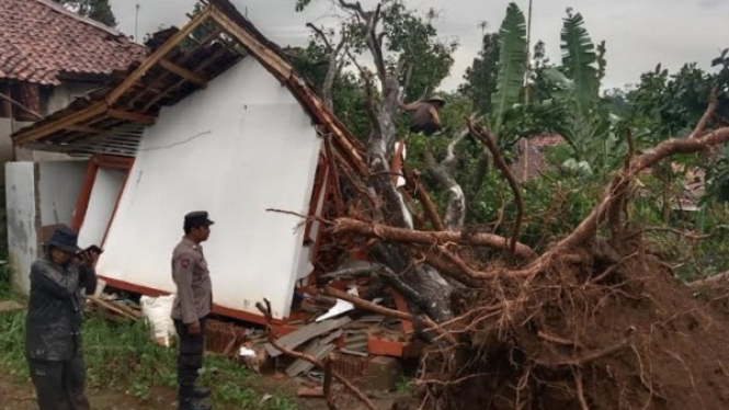 Pohon tumbang di Wanayasa, Kabupaten Purwakarta