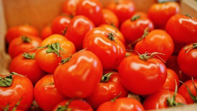 Manfaat tomat untuk kesehatan