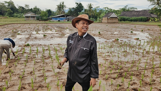 Calon gubernur Jawa Barat Terpilih Dedi Mulyadi