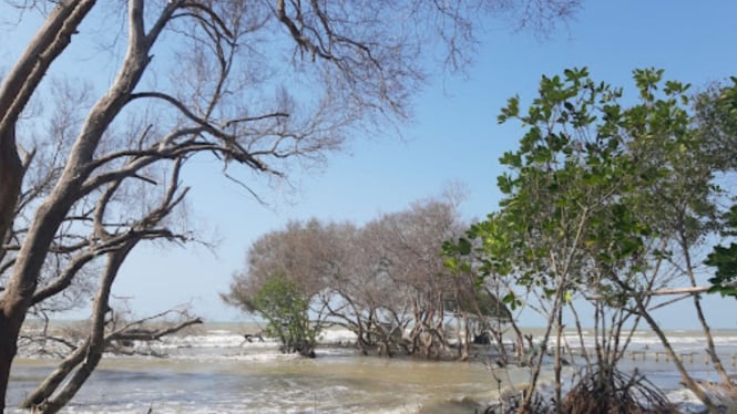 Pantai Cirewang Subang