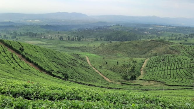 Bukit Santiong Subang