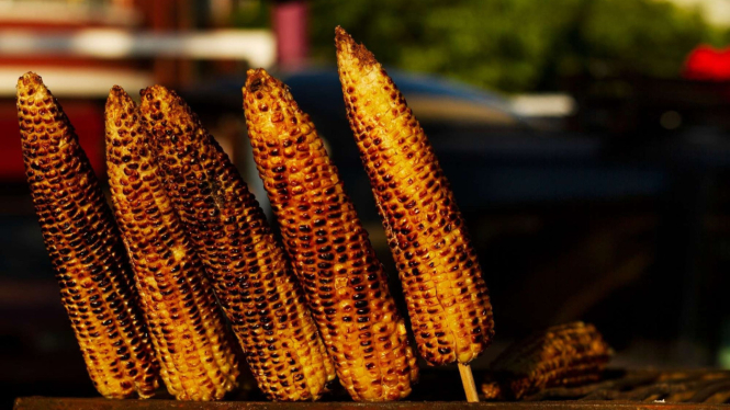 Jagung Bakar