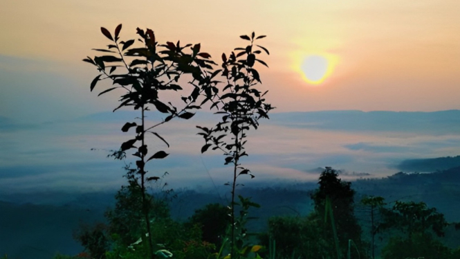 Bukit Pasir Jaka, Subang