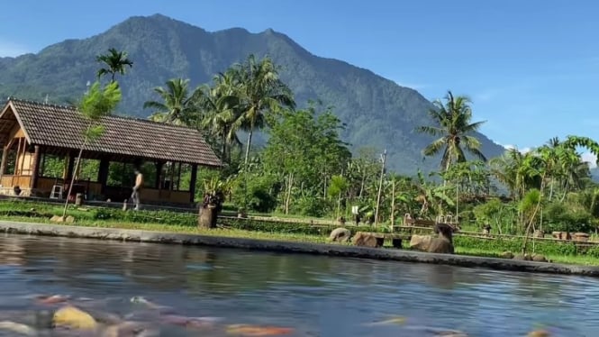 Wisata Kampung Ikan Lembah Tanjung di Subang